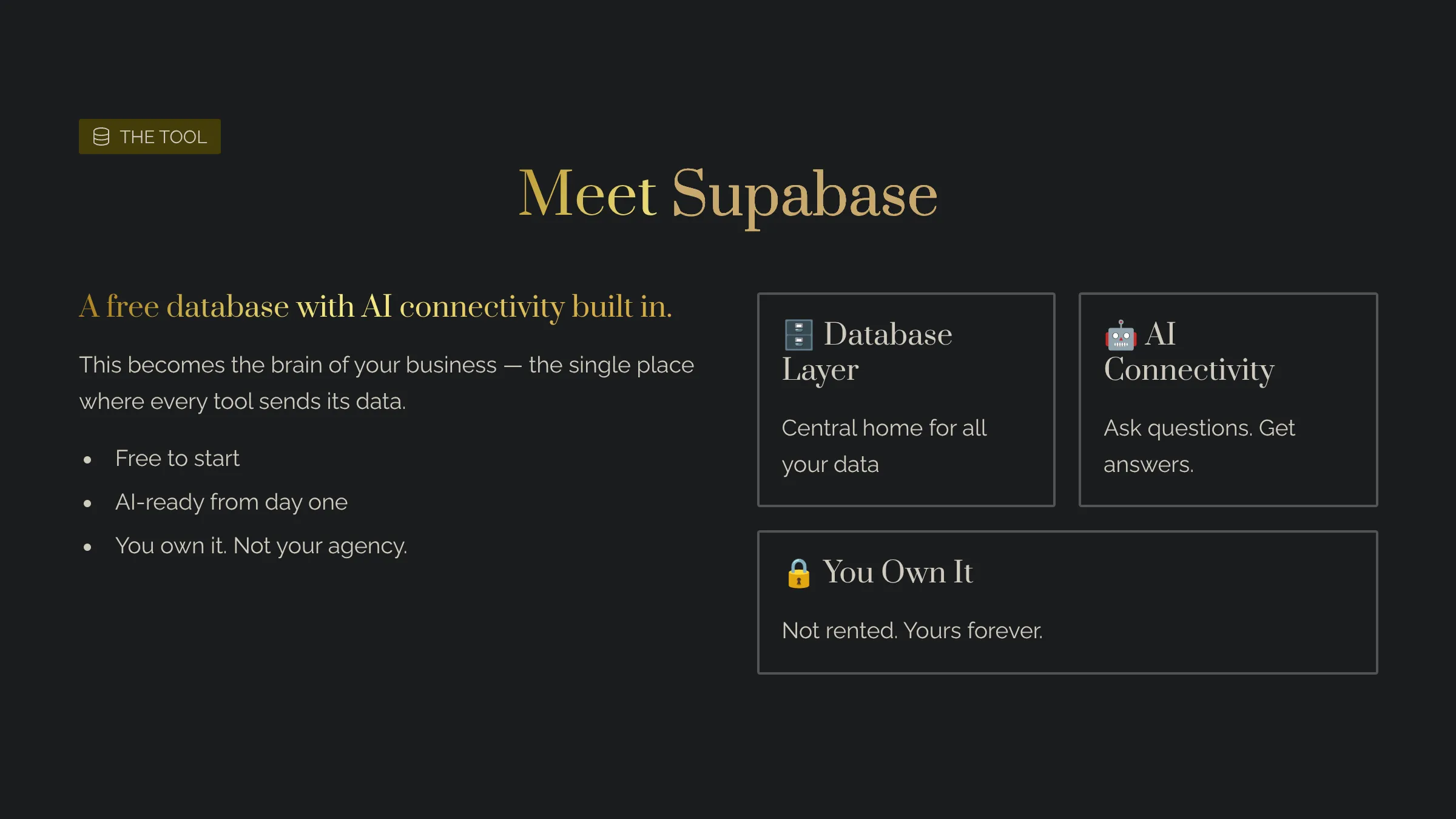 Supabase for local business marketing: a free database with AI connectivity built in — the database layer of the business master brain that you own, not your agency